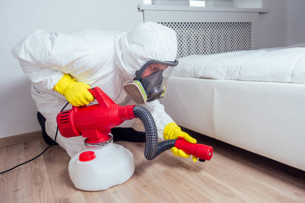 Best Residential Pest Control  in Diamond Bar, CA